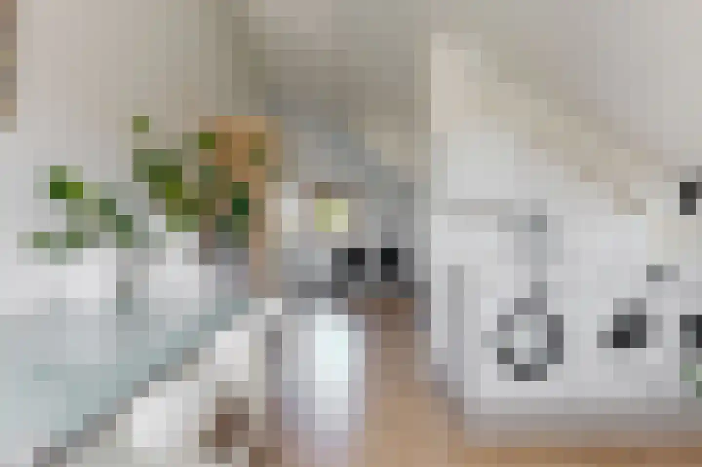 D. Hofstedestraat 2 Ter Aar thumbnail 26
