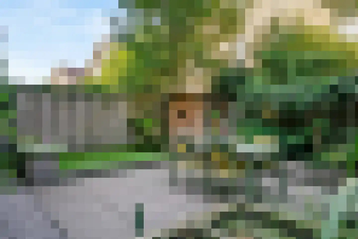 D. Hofstedestraat 2 Ter Aar thumbnail 32
