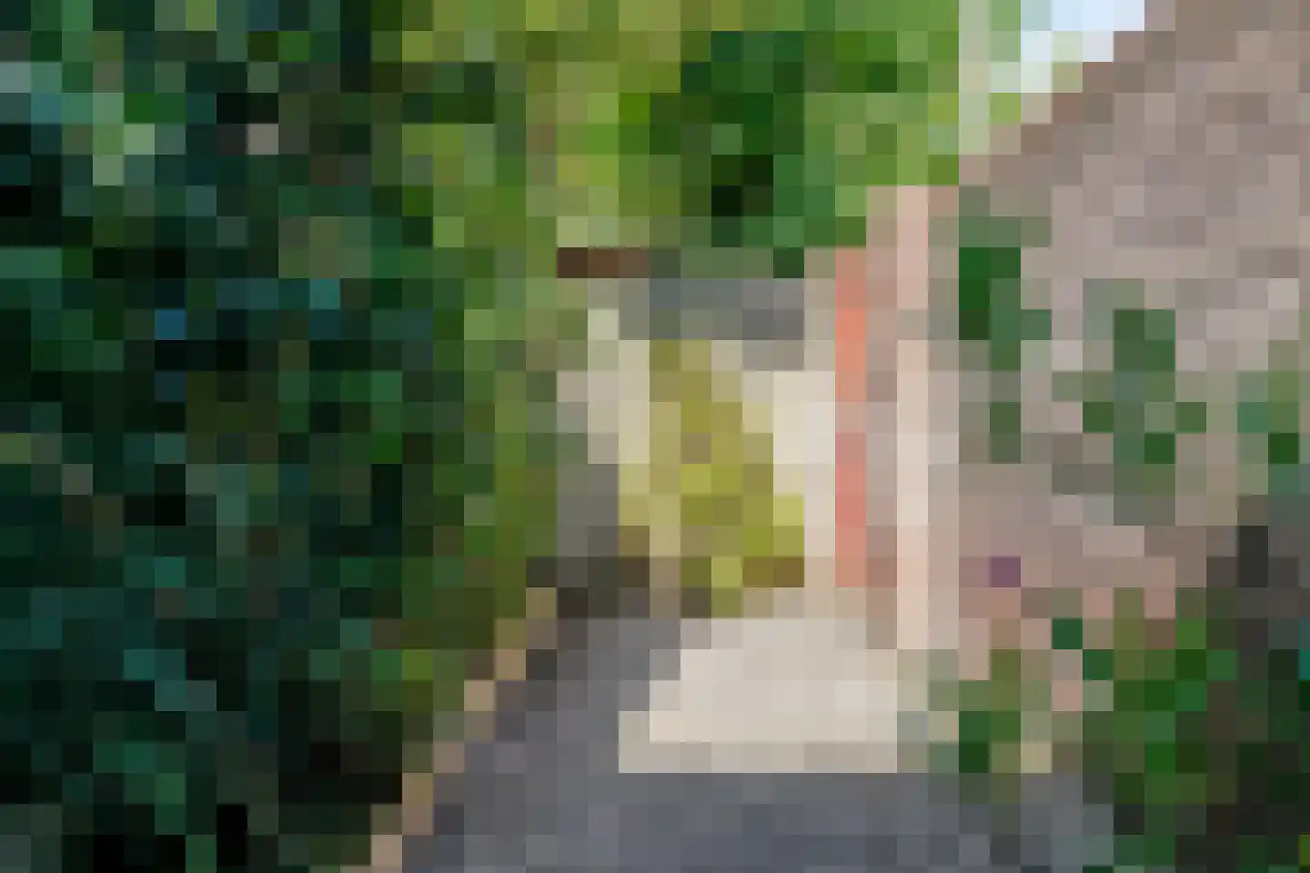 D. Hofstedestraat 2 Ter Aar thumbnail 33