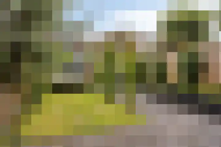 D. Hudigstraat 54 Almere thumbnail 34