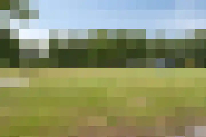 D. Hudigstraat 54 Almere thumbnail 38