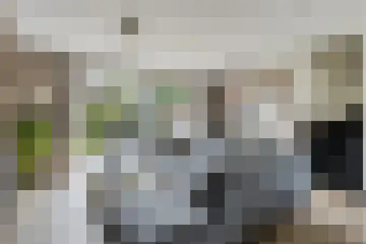 D. Hudigstraat 54 Almere thumbnail 8