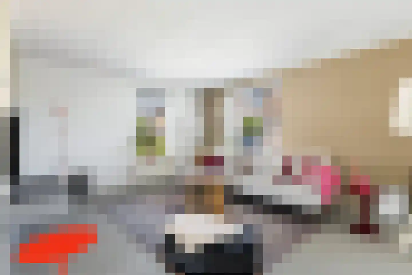 D. Huijser van Reenenstraat 5 Dokkum thumbnail 16