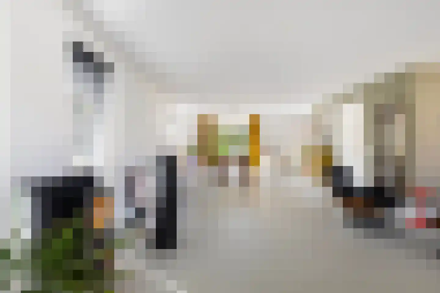 D. Huijser van Reenenstraat 5 Dokkum thumbnail 18