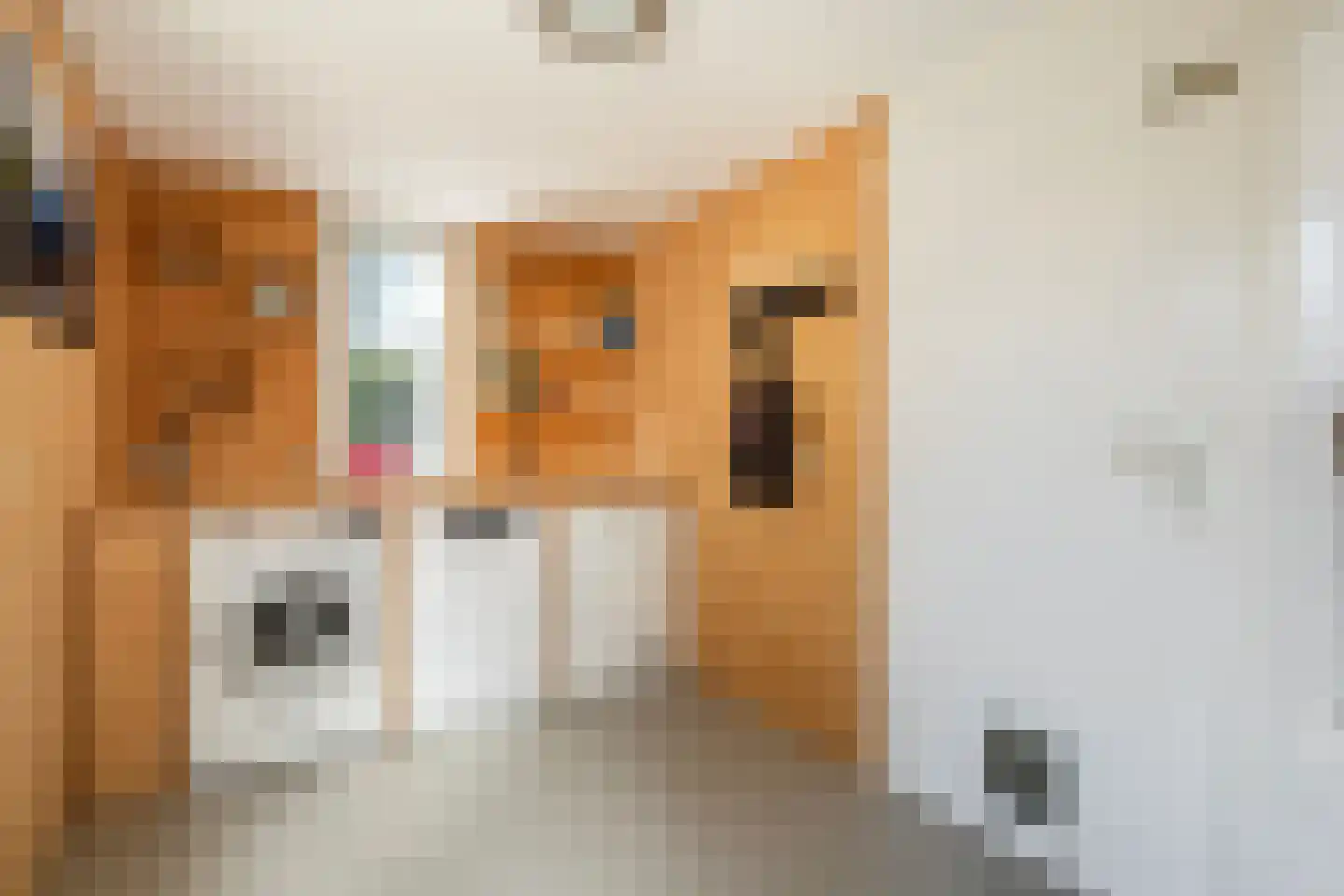 D. Huijser van Reenenstraat 5 Dokkum thumbnail 28