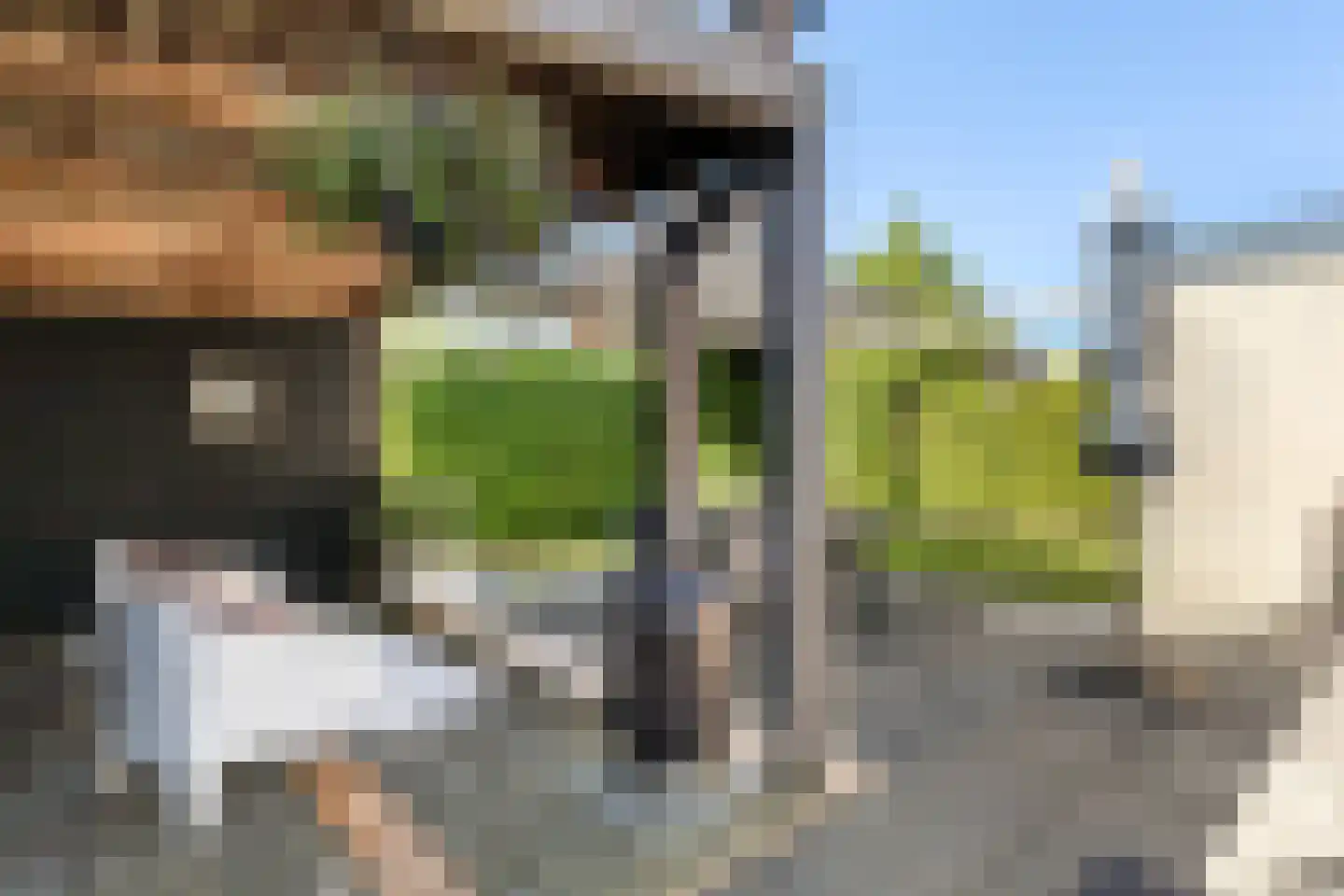 D. Huijser van Reenenstraat 5 Dokkum thumbnail 30
