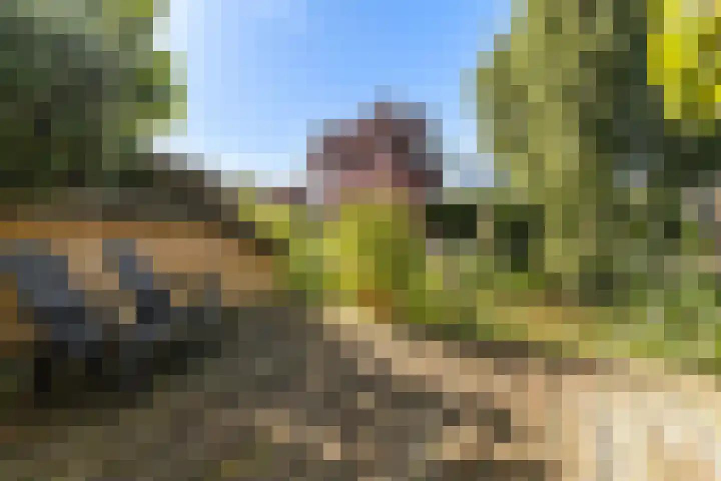 D. Huijser van Reenenstraat 5 Dokkum thumbnail 37
