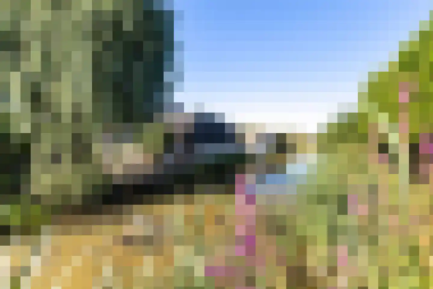 D. Huijser van Reenenstraat 5 Dokkum thumbnail 5