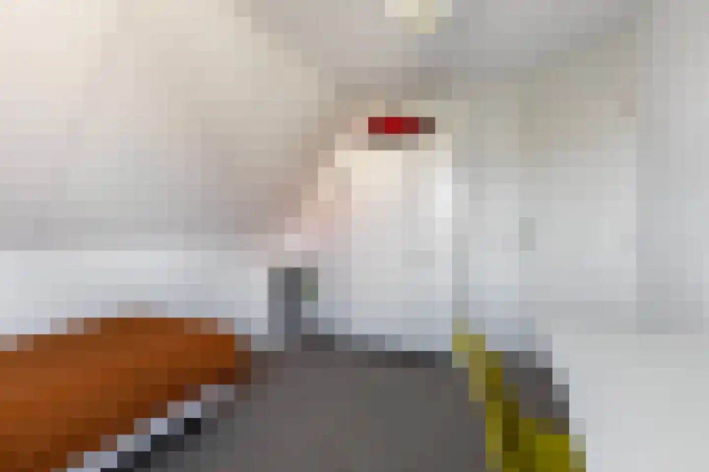 D. Huijser van Reenenstraat 5 Dokkum thumbnail 50