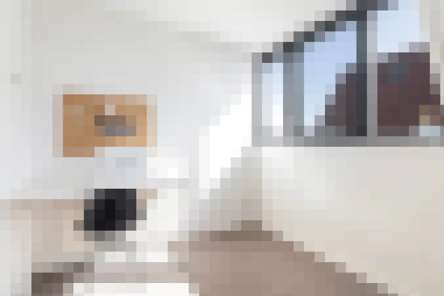 D. Huijser van Reenenstraat 5 Dokkum thumbnail 53