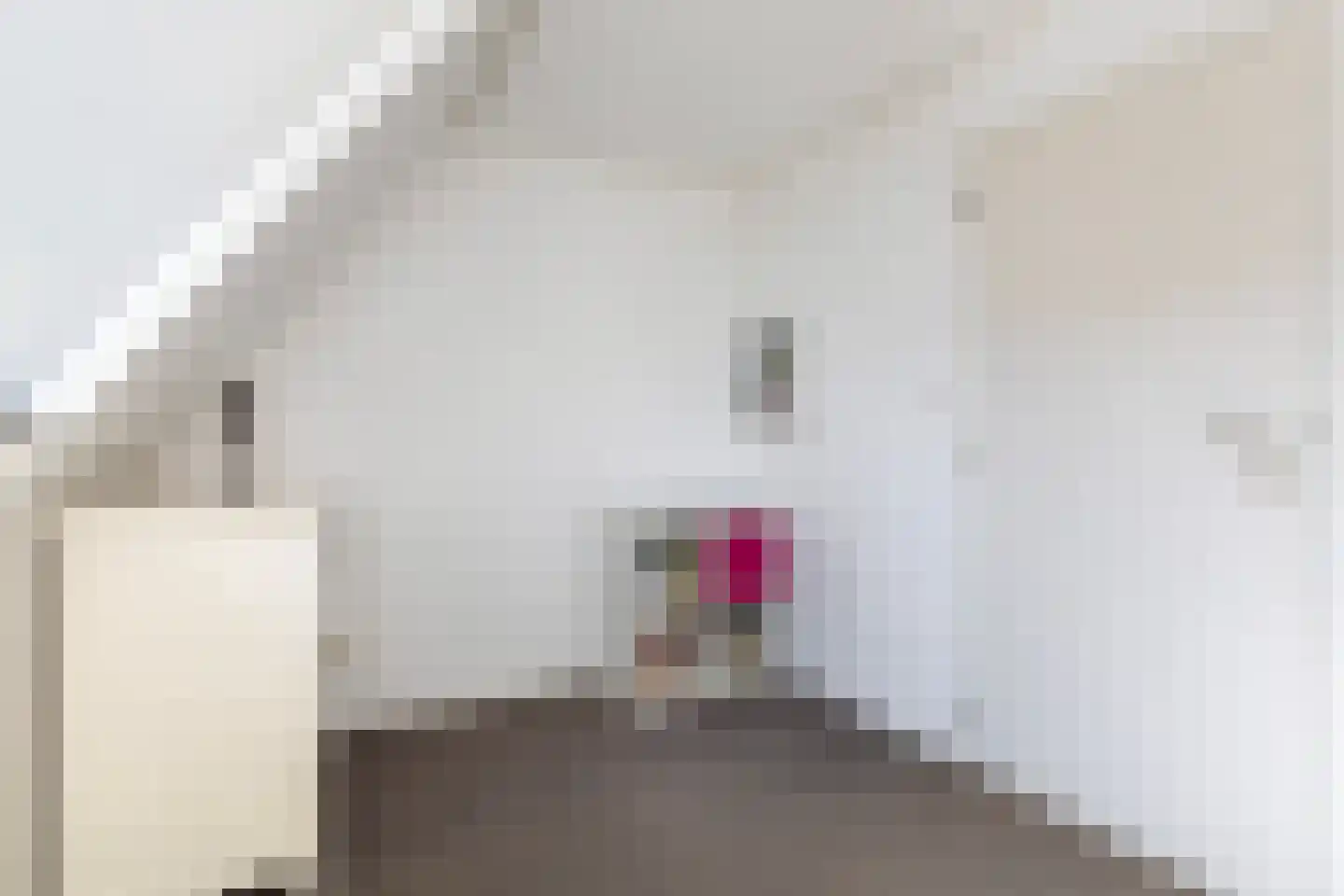 D. Huijser van Reenenstraat 5 Dokkum thumbnail 54