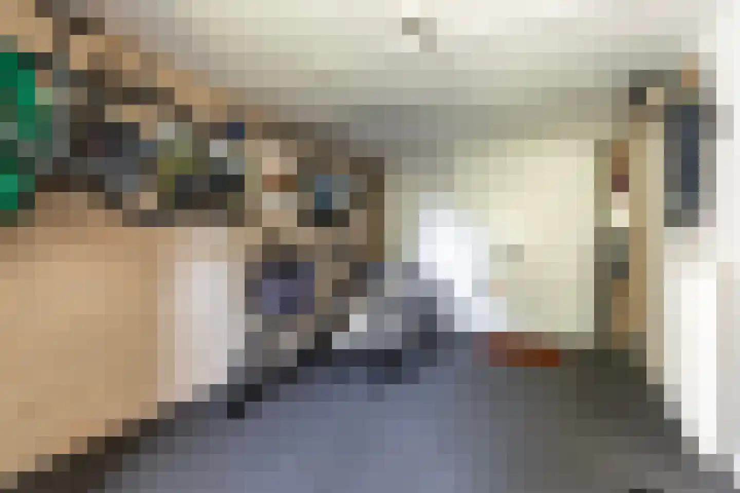D. Huijser van Reenenstraat 5 Dokkum thumbnail 56