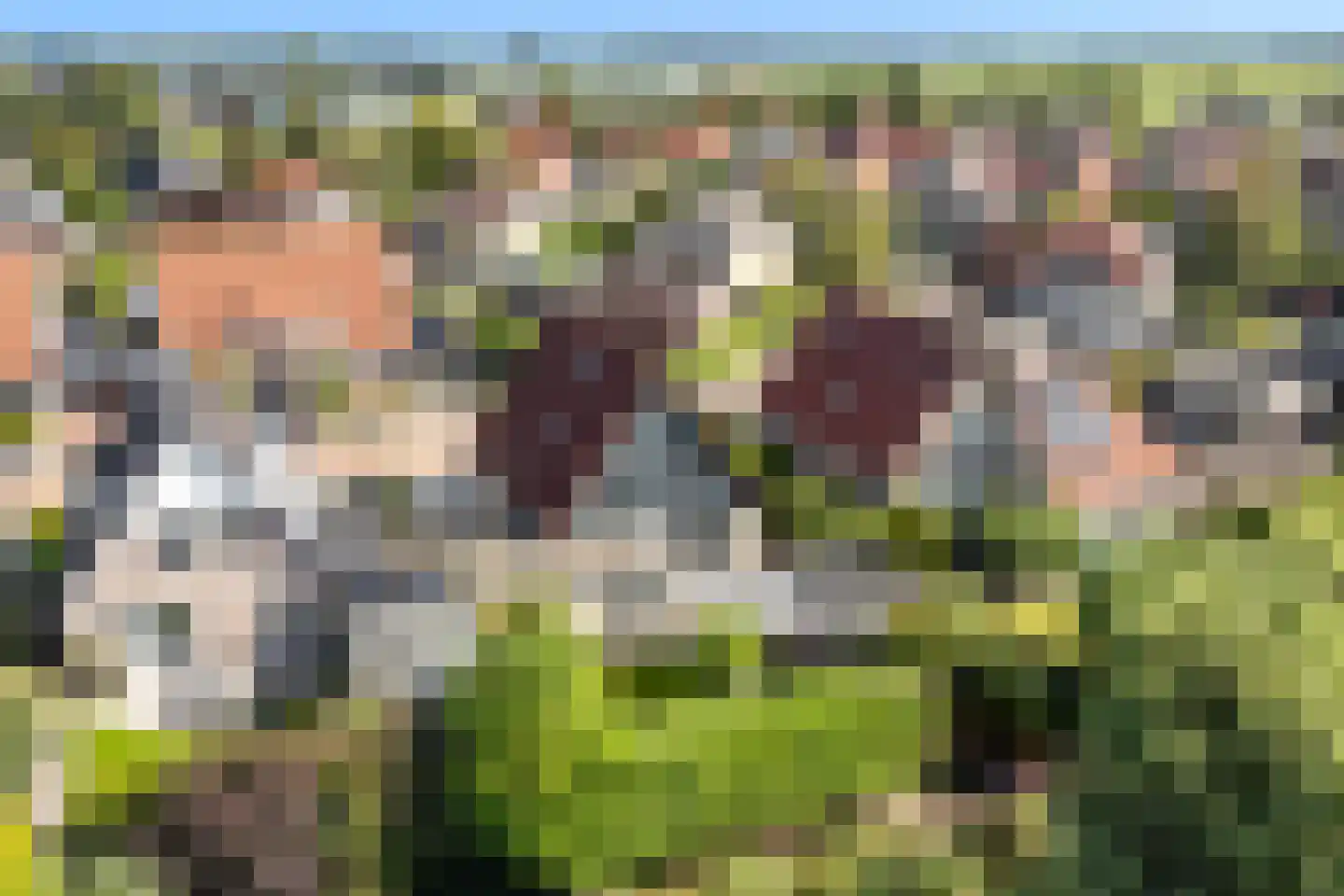 D. Huijser van Reenenstraat 5 Dokkum thumbnail 6