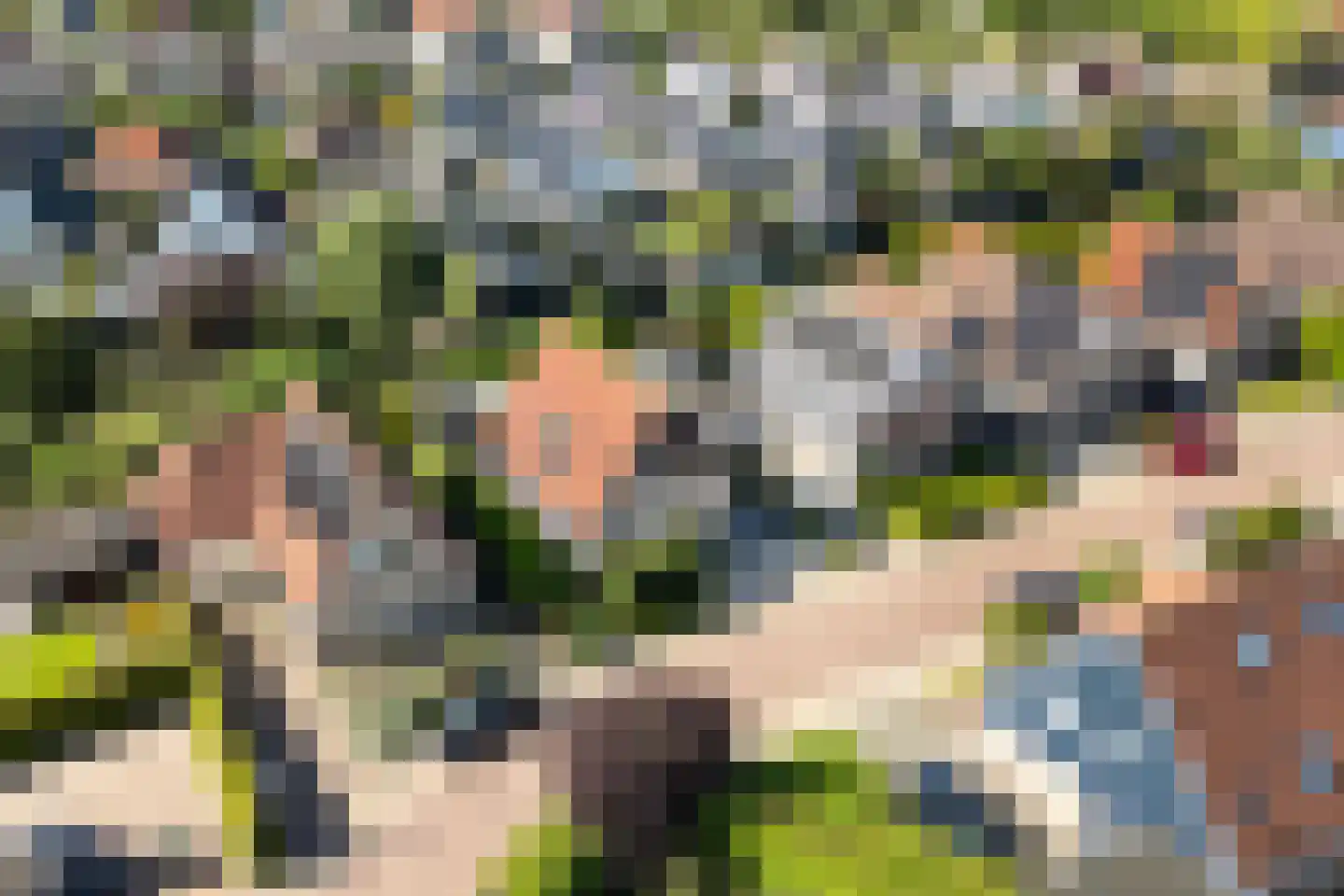 D. Huijser van Reenenstraat 5 Dokkum thumbnail 7