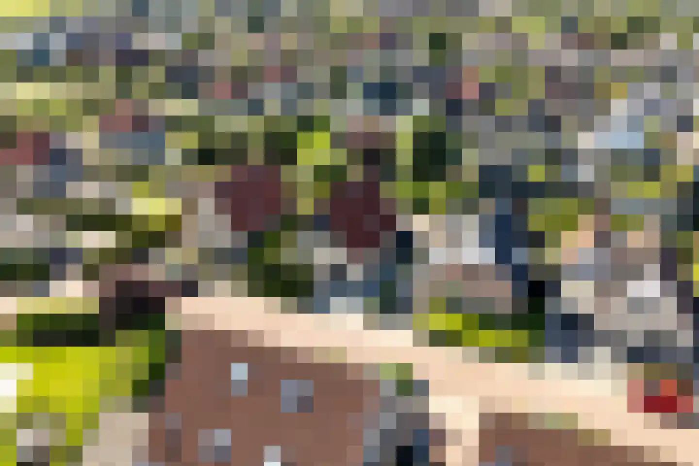 D. Huijser van Reenenstraat 5 Dokkum thumbnail 8
