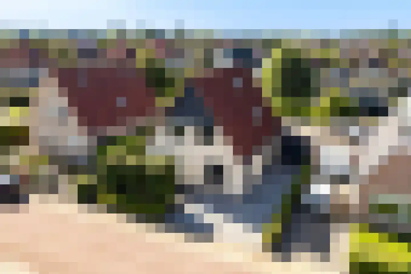 D. Huijser van Reenenstraat 5 Dokkum thumbnail 9