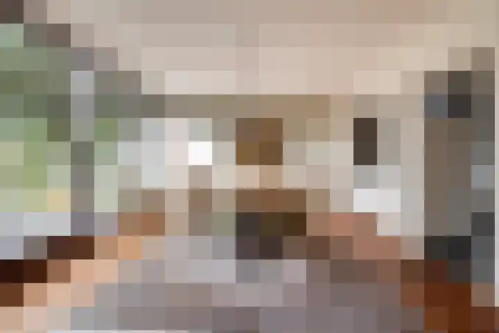 D.J. Bunschotenstraat 41 Goor thumbnail 11