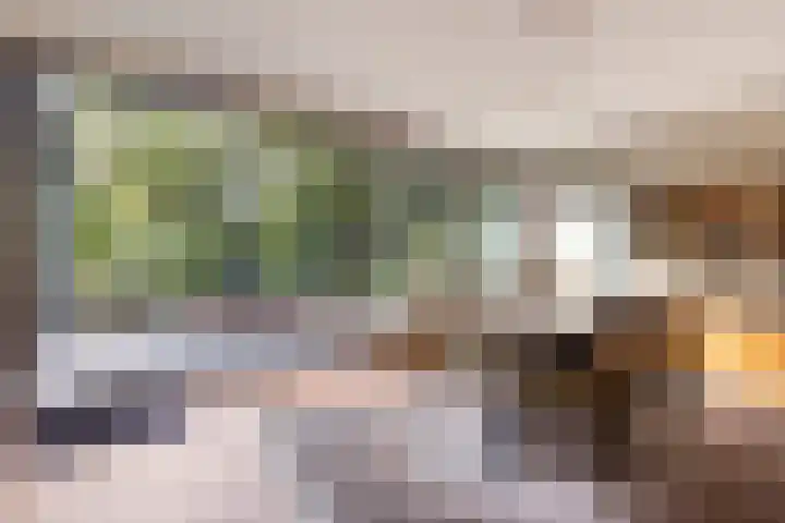 D.J. Bunschotenstraat 41 Goor thumbnail 12