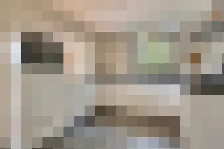 D.J. Bunschotenstraat 41 Goor thumbnail 15