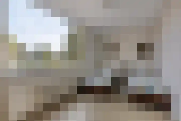 D.J. Bunschotenstraat 41 Goor thumbnail 34