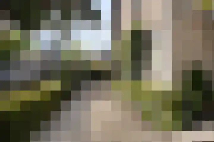D.J. Bunschotenstraat 41 Goor thumbnail 43