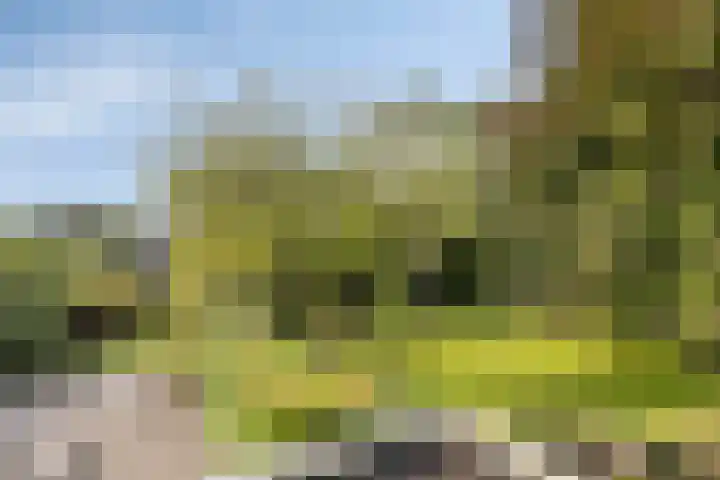 D.J. Bunschotenstraat 41 Goor thumbnail 46