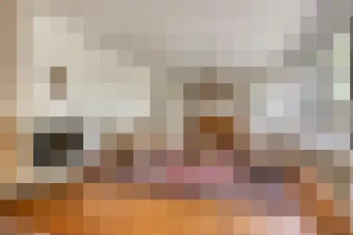 D.J. Bunschotenstraat 41 Goor thumbnail 5