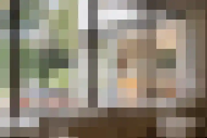 D.J. Bunschotenstraat 41 Goor thumbnail 7