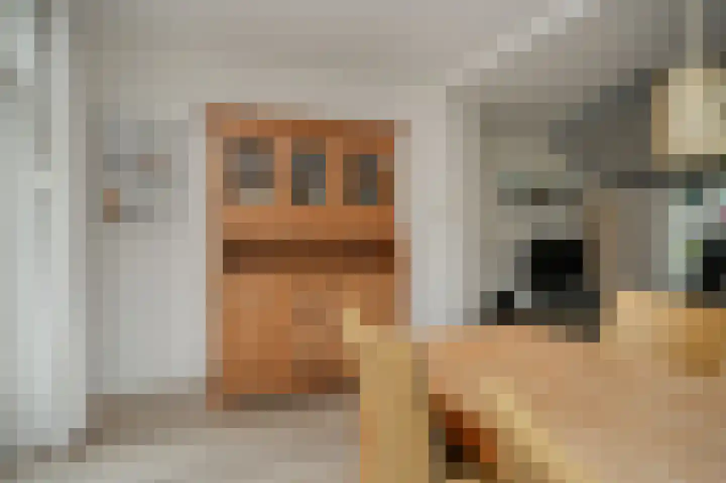 D.J. van Wijkstraat 18 Geldermalsen thumbnail 15