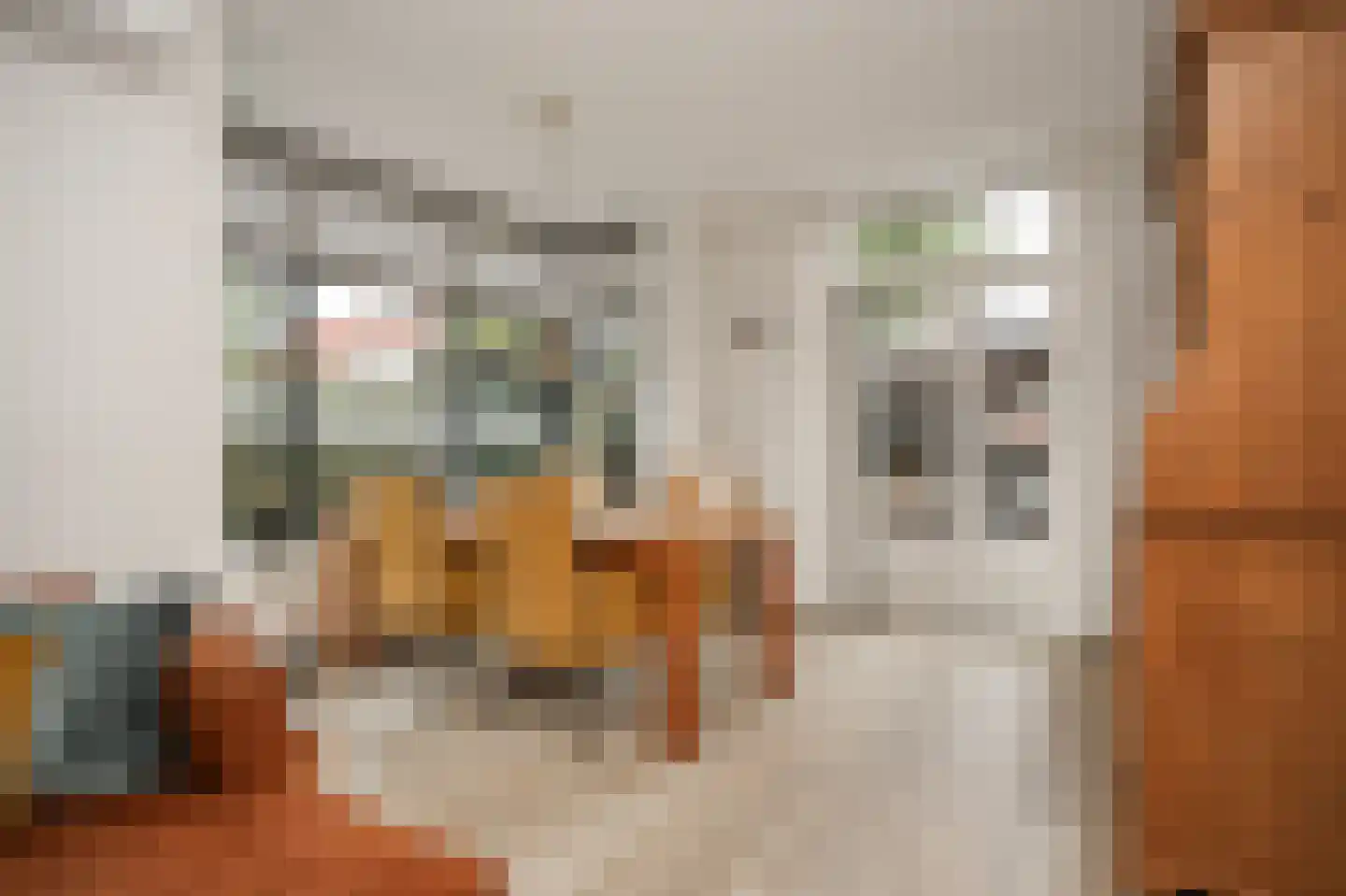 D.J. van Wijkstraat 18 Geldermalsen thumbnail 16