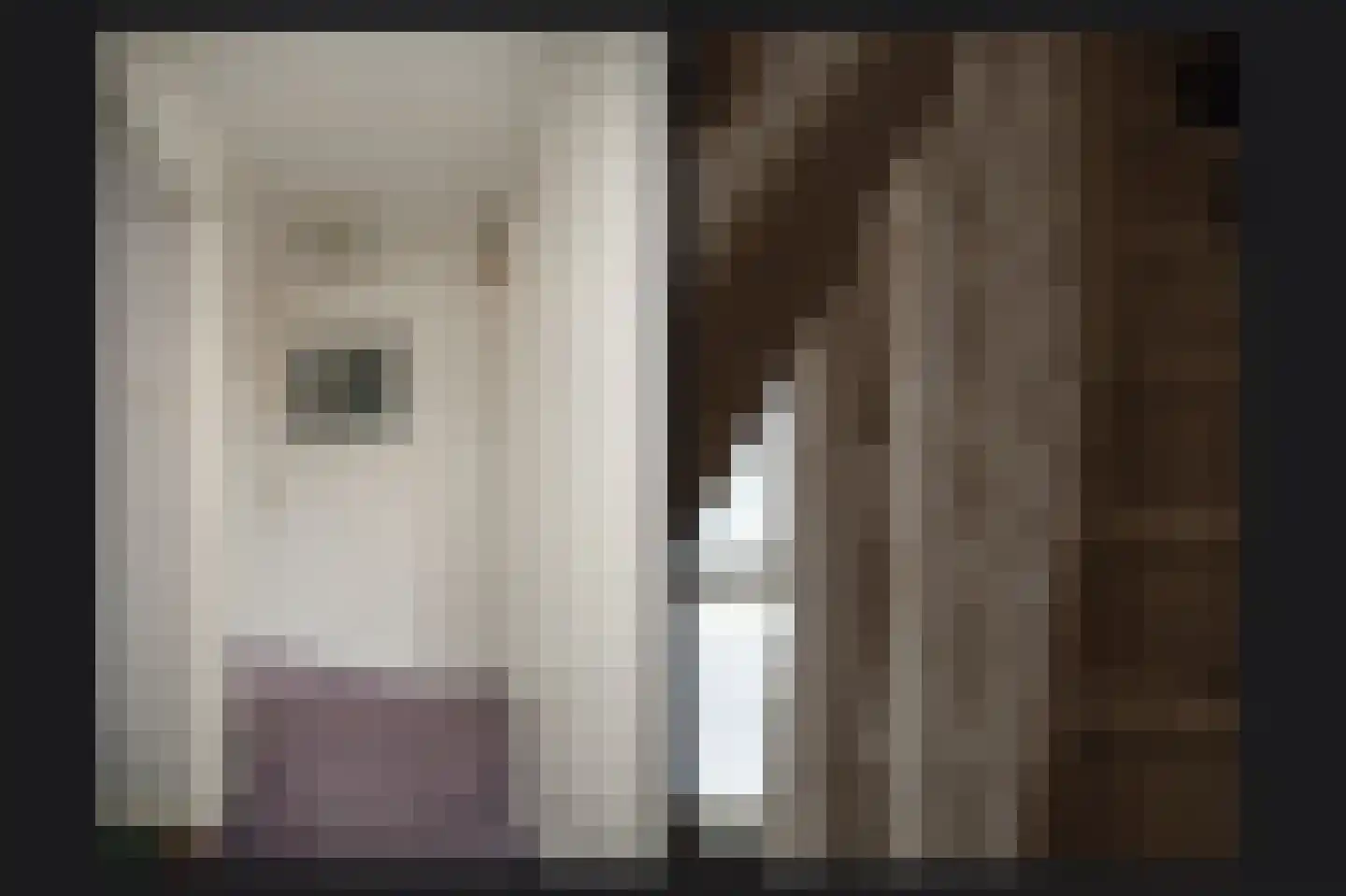 D.J. van Wijkstraat 18 Geldermalsen thumbnail 23