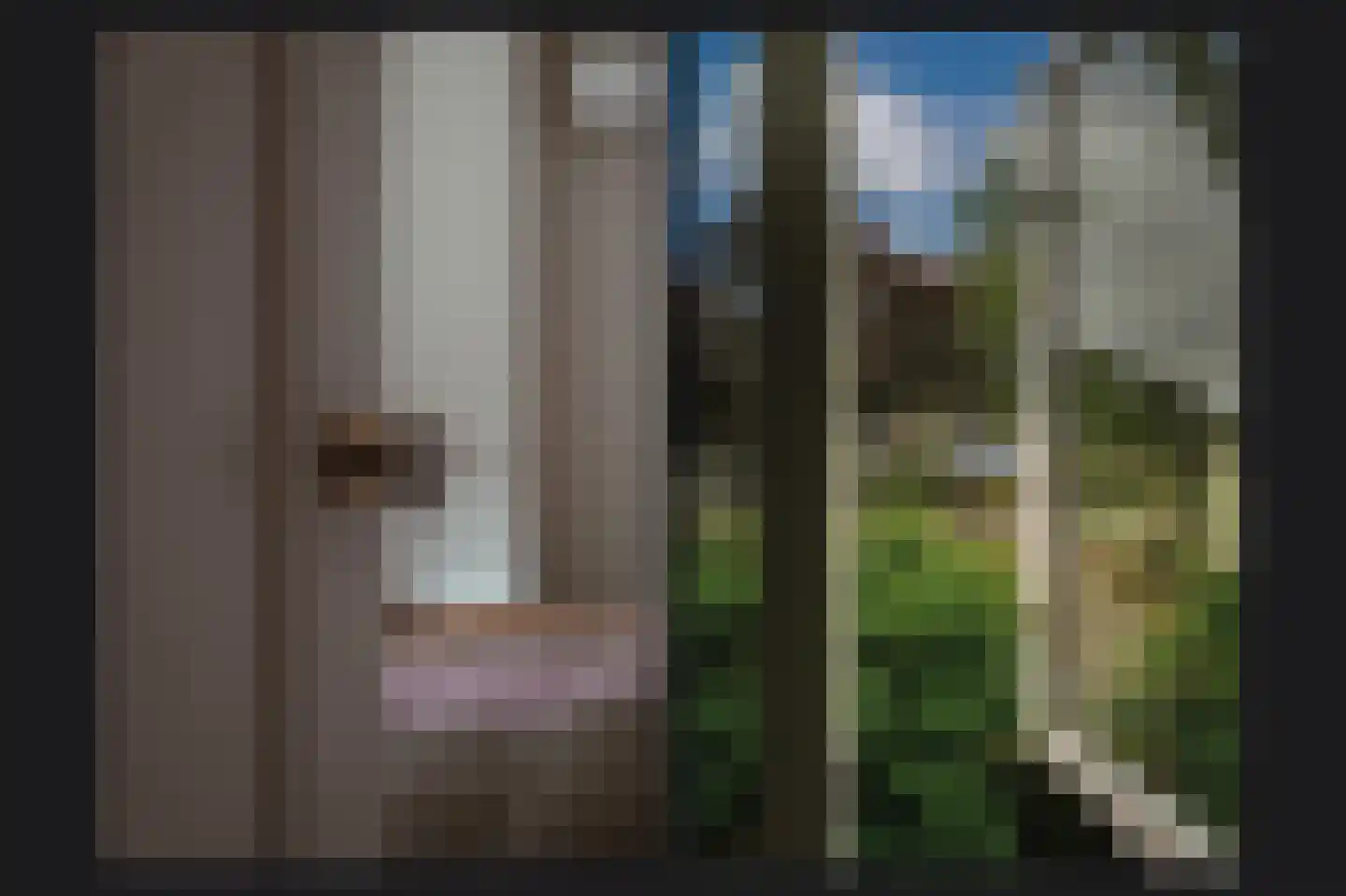 D.J. van Wijkstraat 18 Geldermalsen thumbnail 26