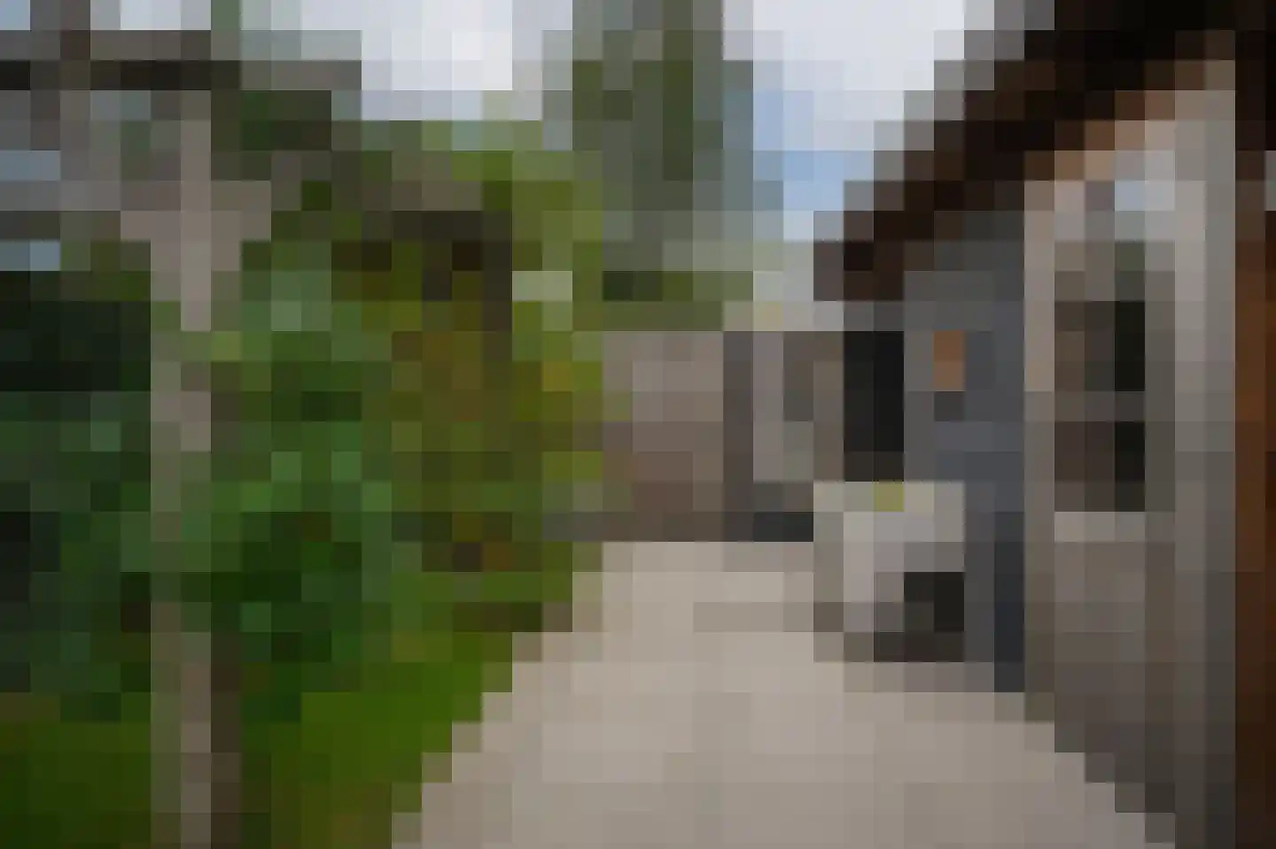 D.J. van Wijkstraat 18 Geldermalsen thumbnail 44