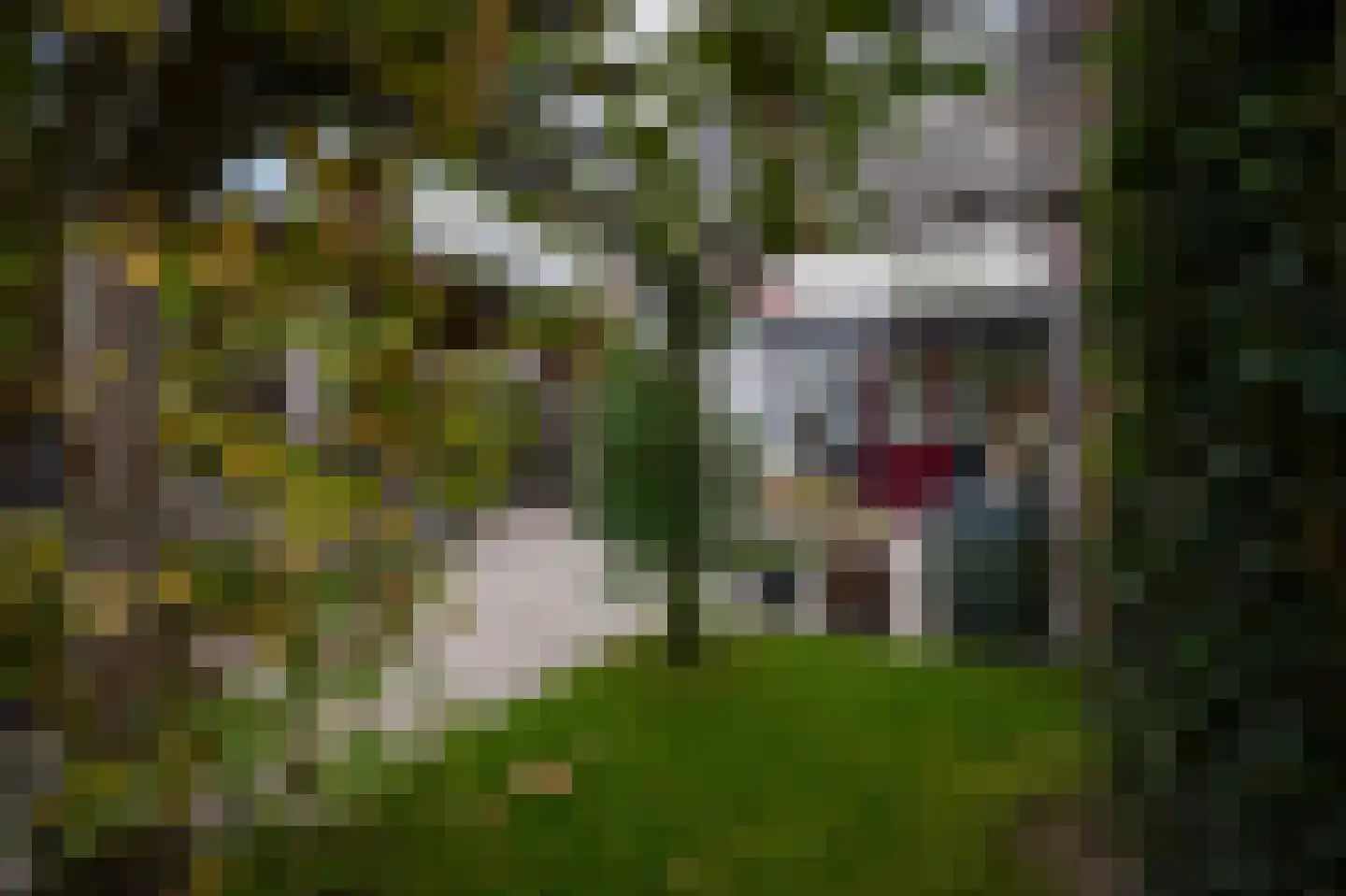 D.J. van Wijkstraat 18 Geldermalsen thumbnail 45