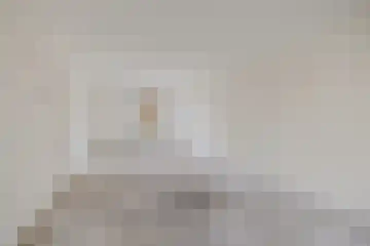D.K. Boersmastrjitte 13 Rinsumageast thumbnail 10