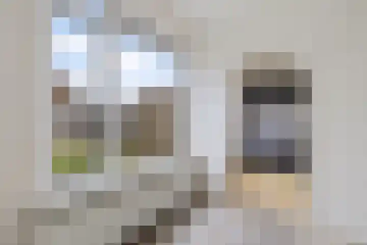D.K. Boersmastrjitte 13 Rinsumageast thumbnail 11