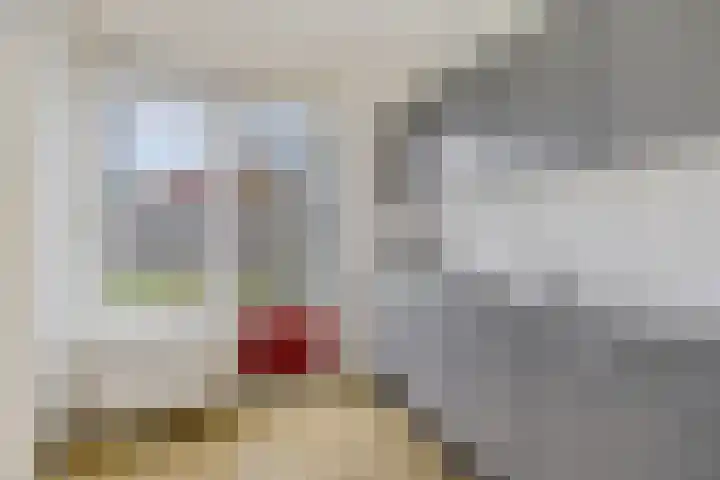 D.K. Boersmastrjitte 13 Rinsumageast thumbnail 16