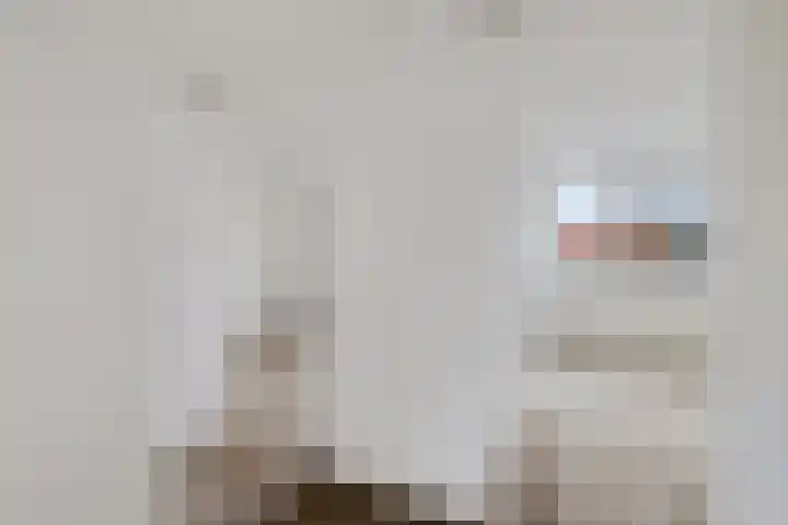 D.K. Boersmastrjitte 13 Rinsumageast thumbnail 18