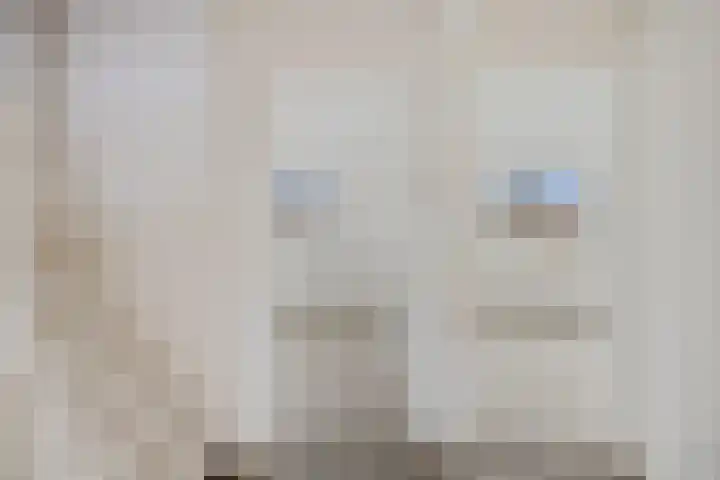 D.K. Boersmastrjitte 13 Rinsumageast thumbnail 22