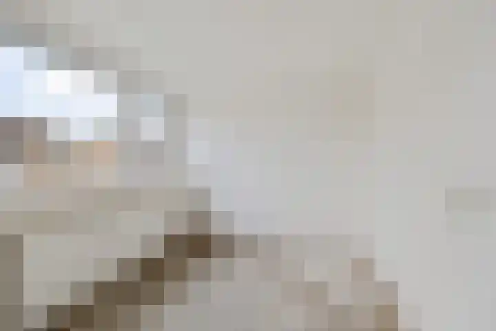 D.K. Boersmastrjitte 13 Rinsumageast thumbnail 23