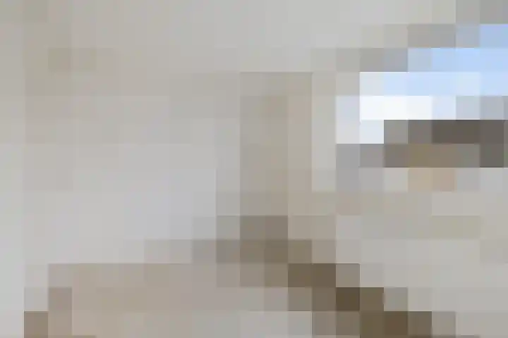 D.K. Boersmastrjitte 13 Rinsumageast thumbnail 24