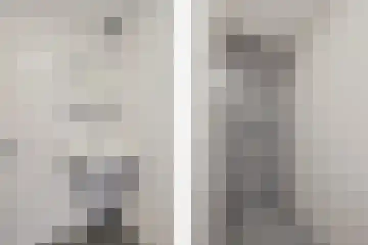 D.K. Boersmastrjitte 13 Rinsumageast thumbnail 27