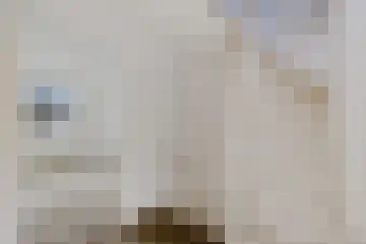 D.K. Boersmastrjitte 13 Rinsumageast thumbnail 28