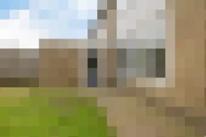 D.K. Boersmastrjitte 13 Rinsumageast thumbnail 31