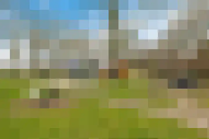 D.K. Boersmastrjitte 13 Rinsumageast thumbnail 36