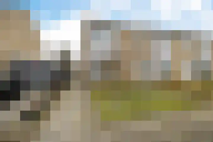 D.K. Boersmastrjitte 13 Rinsumageast thumbnail 4