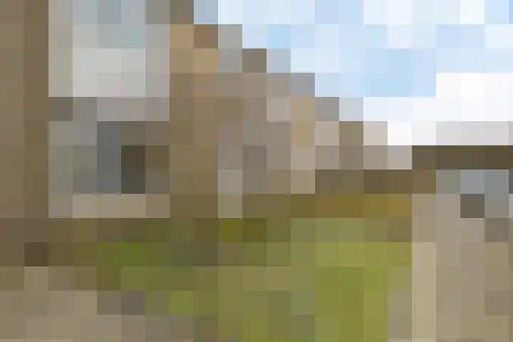 D.K. Boersmastrjitte 13 Rinsumageast thumbnail 5