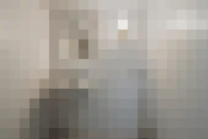 D.K. Boersmastrjitte 14 Rinsumageast thumbnail 13