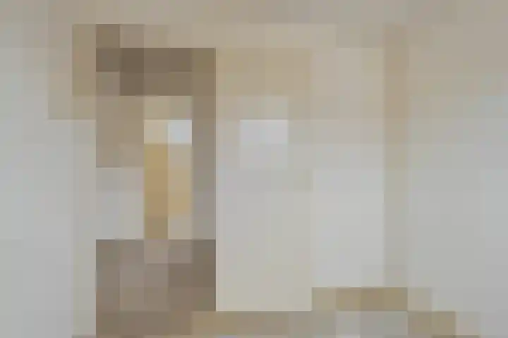 D.K. Boersmastrjitte 14 Rinsumageast thumbnail 18