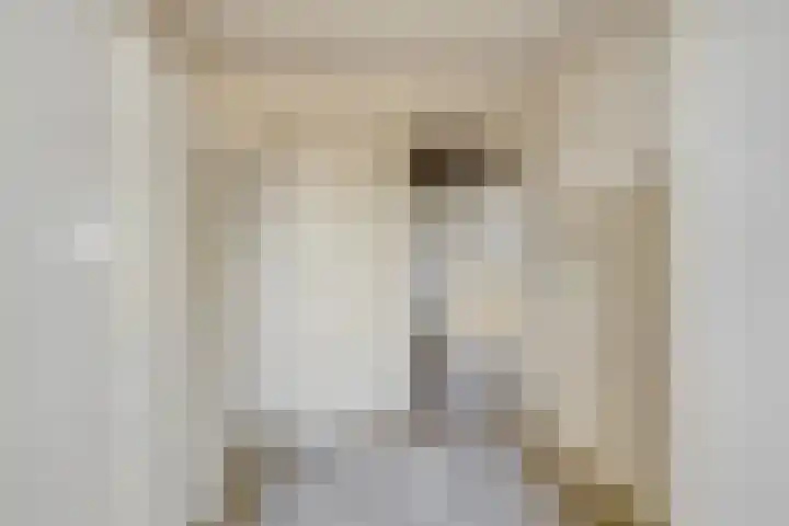 D.K. Boersmastrjitte 14 Rinsumageast thumbnail 20